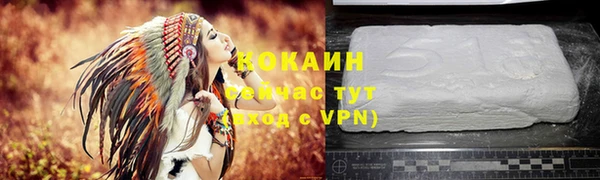 бошки Горняк