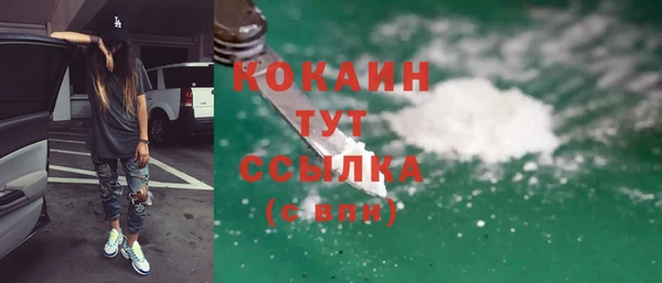 бошки Горняк