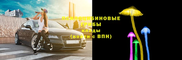 бошки Горняк