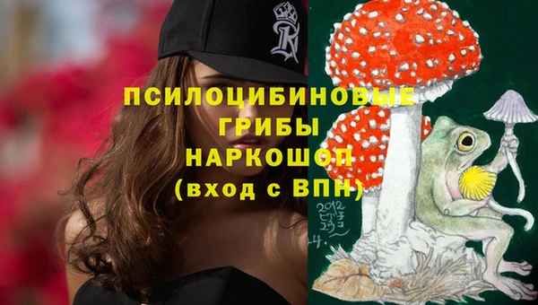 бошки Горняк