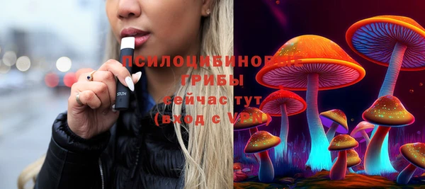 прущая мука Горно-Алтайск