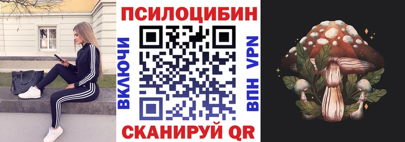 Купить где  Баймак  Псилоцибиновые грибы MAGIC MUSHROOMS 